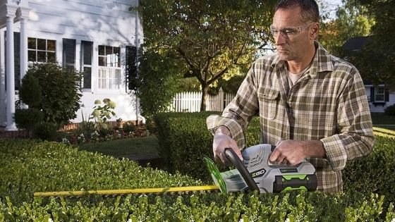 How to Choose a Hedge Trimmer